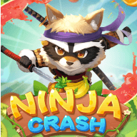 NINJA CRASH game icon